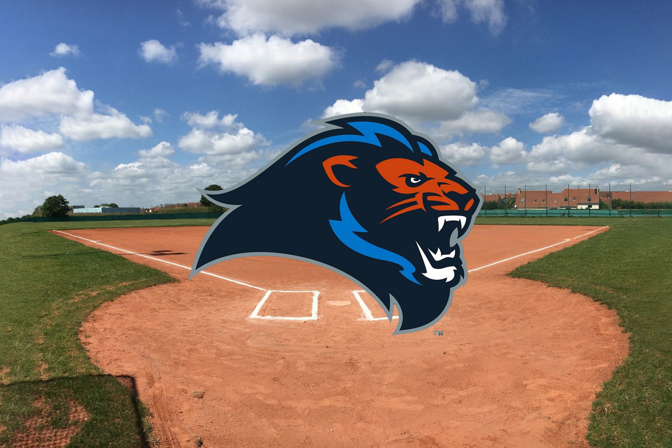 2024 : Les Lions