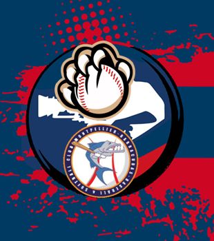 D1 : Bilan du Weekend