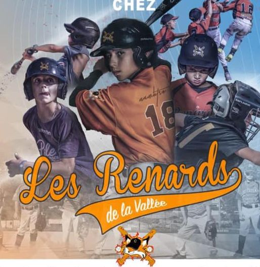 Renards de la Vallée