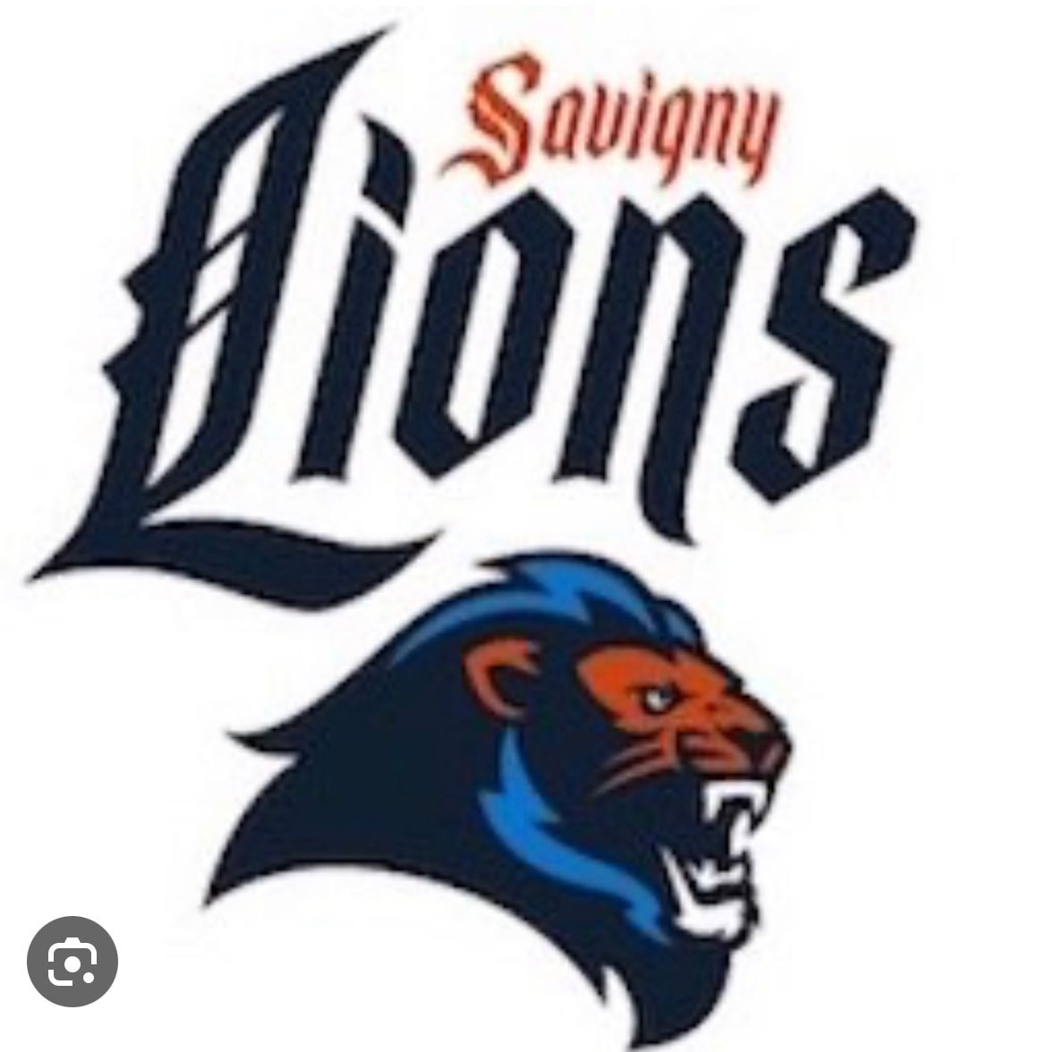 Coupe d’Europe : les lions en finale