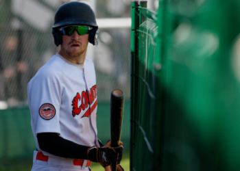 D2 Baseball Bilan 6ème journée :