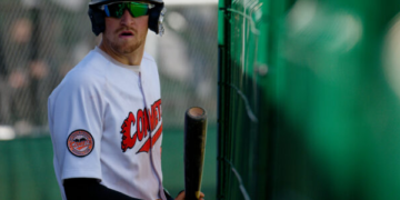 D2 Baseball Bilan 6ème journée :
