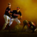 D2 Baseball : Bilan statistique complet à la mi-saison