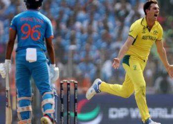 Le cricket fait parler de lui !