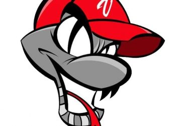 Rencontre avec les Vipères de Valenciennes