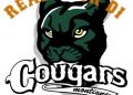 D1 – Montigny Cougars