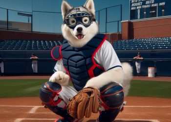 2023, Bilan pour Rouen